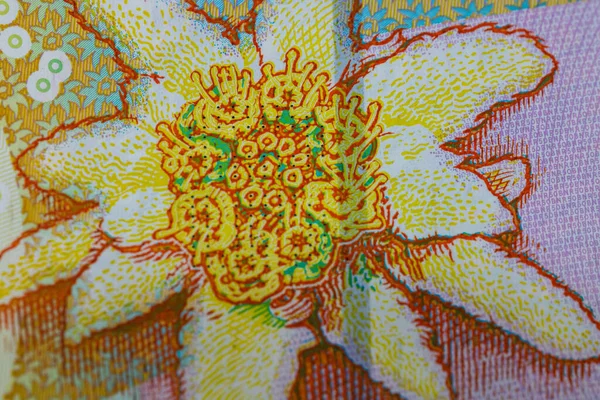 RON Leu Para Avrupa Para Birimi