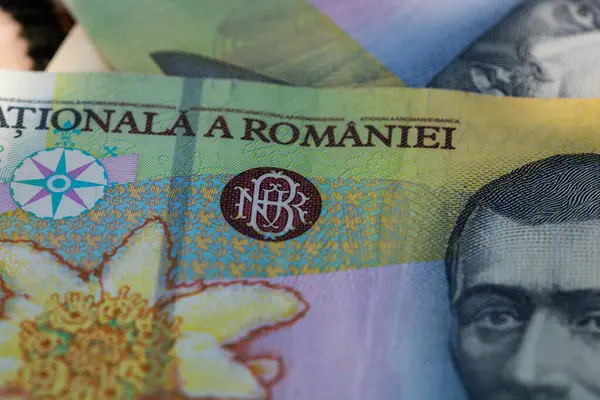 Ron Leu Money Europese Valuta — Stockfoto