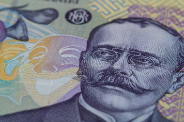 RON Leu Para Avrupa Para Birimi