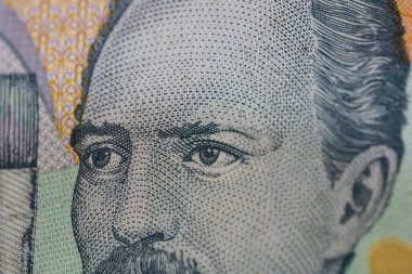 RON Leu Para Avrupa Para Birimi