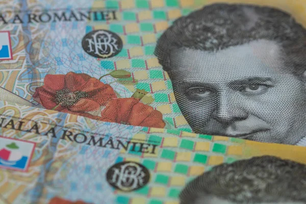 Ron Leu Money Moneda Europea — Foto de Stock