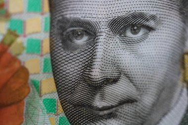 RON Leu Para Avrupa Para Birimi