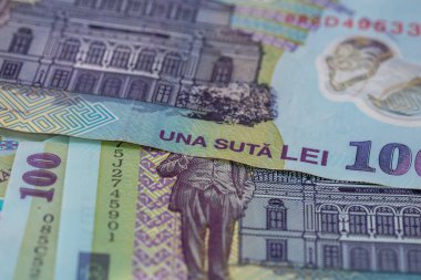 RON Leu Para Avrupa Para Birimi