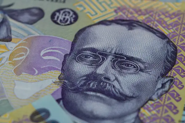 Ron Leu Money Ευρωπαϊκό Νόμισμα — Φωτογραφία Αρχείου