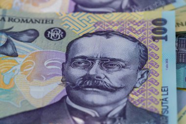 RON Leu Para Avrupa Para Birimi