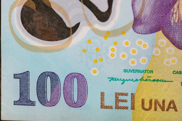 Ron Leu Money Evropská Měna — Stock fotografie