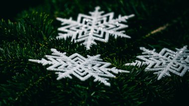 Noel süsleri. Renkli Noel ışıkları arka planı