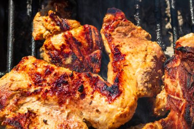 Kömür mangalında ızgara tavuk ve domuz eti. Kamp manzarası, lezzetli barbekü, yemek konsepti, ızgaradaki yemek ve ızgaradaki yemeğin ayrıntıları.