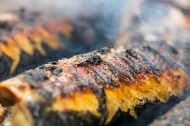 Kömür ızgarasında ızgara balık. Taze balık barbeküsü.