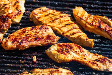 Kömür mangalında ızgara tavuk ve domuz eti. Kamp manzarası, lezzetli barbekü, yemek konsepti, ızgaradaki yemek ve ızgaradaki yemeğin ayrıntıları.