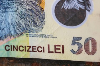 RON Leu Para Avrupa Para Birimi