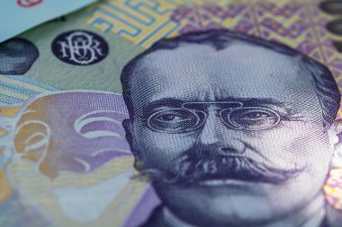 RON Leu Para Avrupa Para Birimi