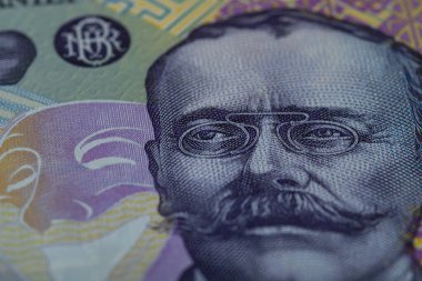 RON Leu Para Avrupa Para Birimi