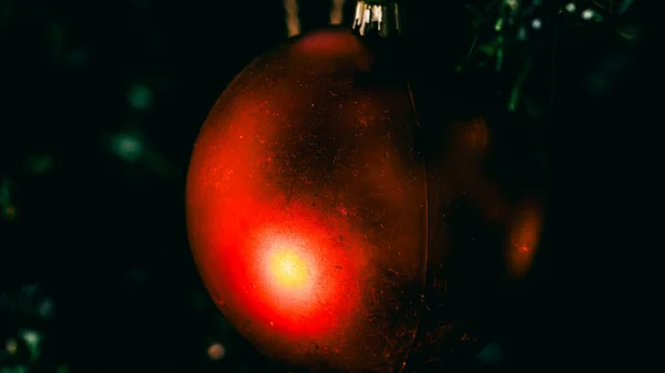 Christmas Decorations Colorful Christmas Lights Background — Stock Photo, Image