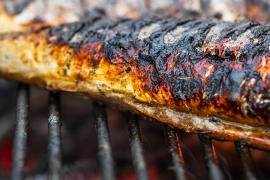 Kömür ızgarasında ızgara balık. Taze balık barbeküsü.