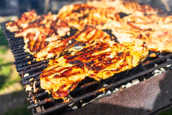 Kip Varkensvlees Gegrild Een Houtskoolbarbecue Top Uitzicht Camping Smakelijke Barbecue — Stockfoto