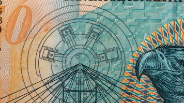 Romanya LEI Para Birimi Banknotu. RON Para Avrupa Para Birimi