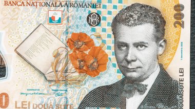 Romanya LEI Para Birimi Banknotu. RON Para Avrupa Para Birimi