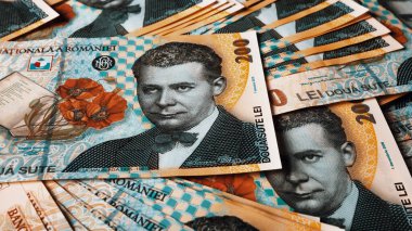 Romanya LEI Para Birimi Banknotu. RON Para Avrupa Para Birimi