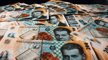Romanya LEI Para Birimi Banknotu. RON Para Avrupa Para Birimi