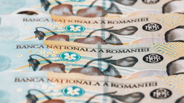 Romanya LEI Para Birimi Banknotu. RON Para Avrupa Para Birimi