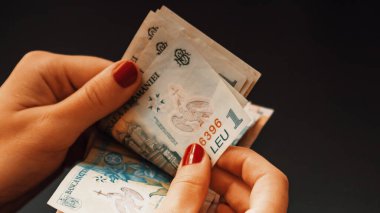 Romanya LEI Para Birimi Banknotu. RON Para Avrupa Para Birimi