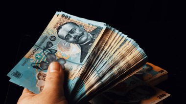 Romanya LEI Para Birimi Banknotu. RON Para Avrupa Para Birimi