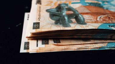 Romanya LEI Para Birimi Banknotu. RON Para Avrupa Para Birimi