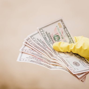 Macro shot 'ı Amerikan doları. ABD enflasyonu, ABD parası