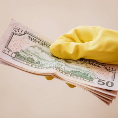 Macro shot 'ı Amerikan doları. ABD enflasyonu, ABD parası