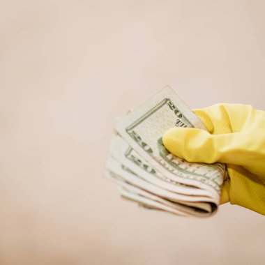 Macro shot 'ı Amerikan doları. ABD enflasyonu, ABD parası