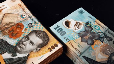 Romanya LEI Para Birimi Banknotu. RON Para Avrupa Para Birimi