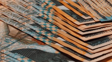 Romanya LEI Para Birimi Banknotu. RON Para Avrupa Para Birimi