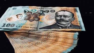 Romanya LEI Para Birimi Banknotu. RON Para Avrupa Para Birimi