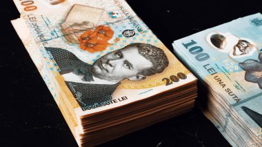 Romanya LEI Para Birimi Banknotu. RON Para Avrupa Para Birimi