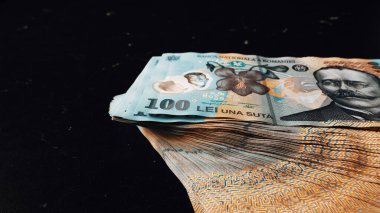 Romanya LEI Para Birimi Banknotu. RON Para Avrupa Para Birimi
