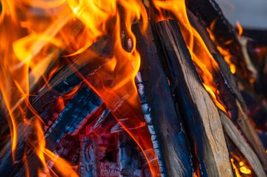 Kömür oluşturmak için odun parçaları yakmak. Barbekü hazırlığı, pişirmeden önce ateş..