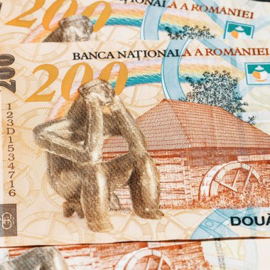 Romanya LEI Para Birimi Banknotu. RON Para Avrupa Para Birimi