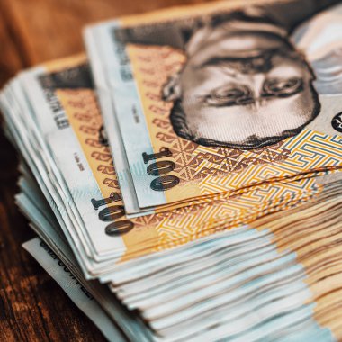 Romanya LEI Para Birimi Banknotu. RON Para Avrupa Para Birimi
