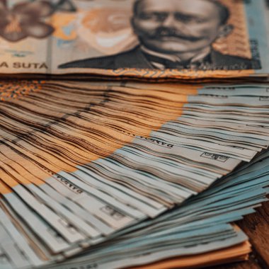 Romanya LEI Para Birimi Banknotu. RON Para Avrupa Para Birimi