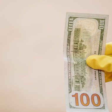 Macro shot 'ı Amerikan doları. ABD enflasyonu, ABD parası