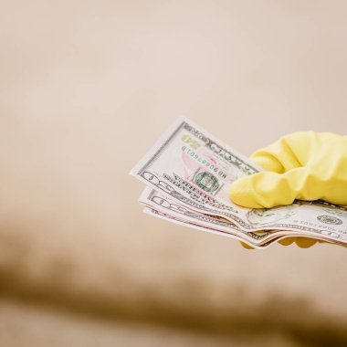 Macro shot 'ı Amerikan doları. ABD enflasyonu, ABD parası