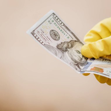 Macro shot 'ı Amerikan doları. ABD enflasyonu, ABD parası