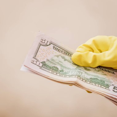Macro shot 'ı Amerikan doları. ABD enflasyonu, ABD parası