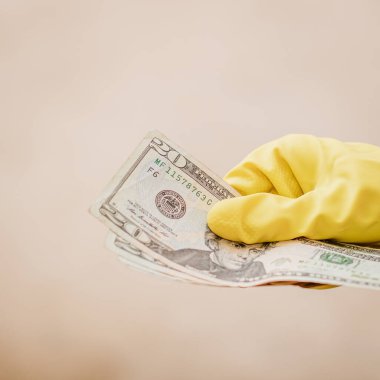 Macro shot 'ı Amerikan doları. ABD enflasyonu, ABD parası