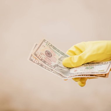Macro shot 'ı Amerikan doları. ABD enflasyonu, ABD parası