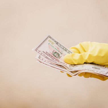 Macro shot 'ı Amerikan doları. ABD enflasyonu, ABD parası