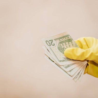 Macro shot 'ı Amerikan doları. ABD enflasyonu, ABD parası
