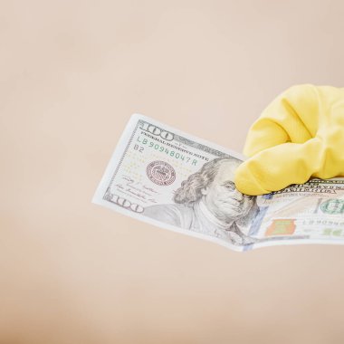 Macro shot 'ı Amerikan doları. ABD enflasyonu, ABD parası
