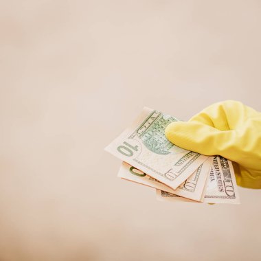 Macro shot 'ı Amerikan doları. ABD enflasyonu, ABD parası